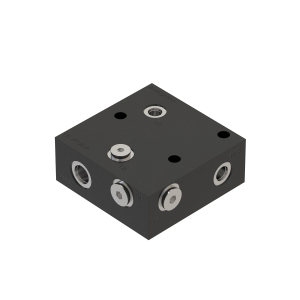Manifold