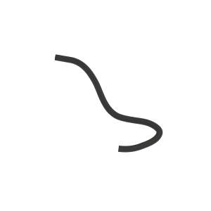 Hose