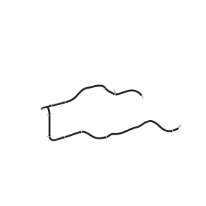 Image of SJ24648