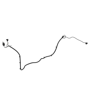 Image of SJ17846