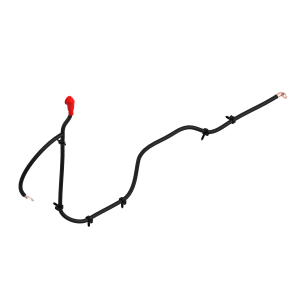 Image of TA23803