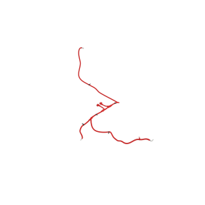 Image of SJ24206