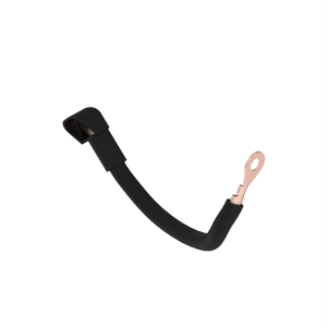 Image of AM143303
