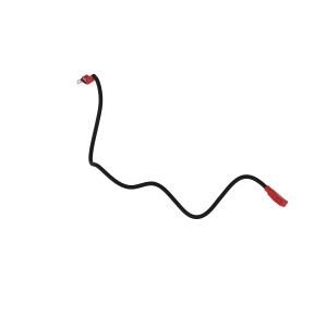 Image of SJ37491