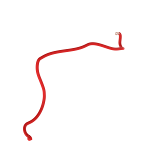 Image of RE577067