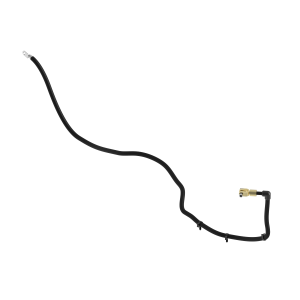 Image of SJ24229