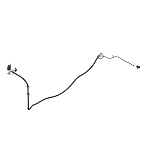 Image of TA16878