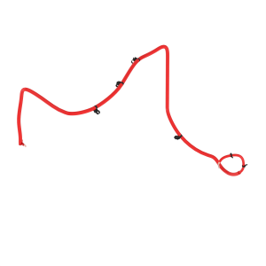 Image of RE588664