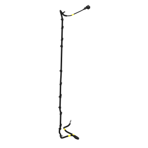 Image of TA17556