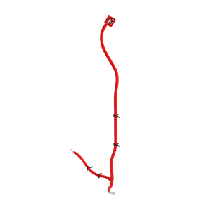 Image of SJ25242