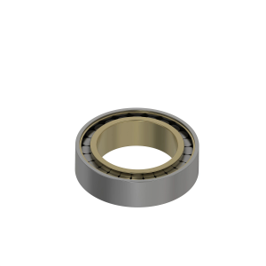 Cylindrical Roller Bearing