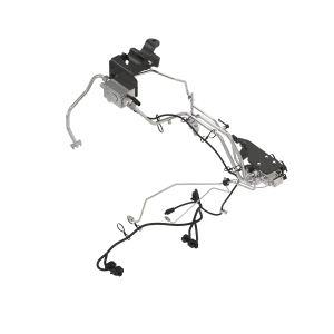 Image of BSJ10672