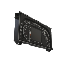 Display Module
