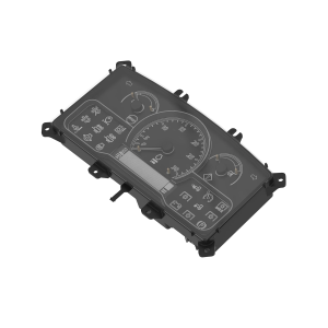 Display Module