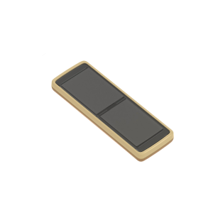 Display Module