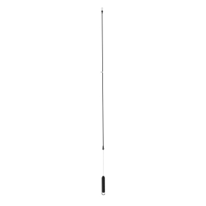 Image of GY22387