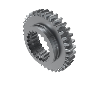 Spur Gear