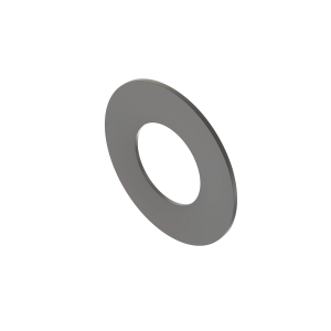 Disk