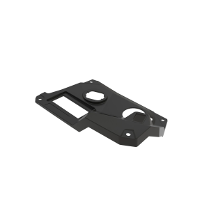 Image of UC31308