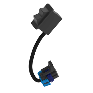Toggle/Rocker Switch