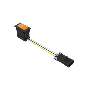Toggle/Rocker Switch