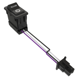 Toggle/Rocker Switch