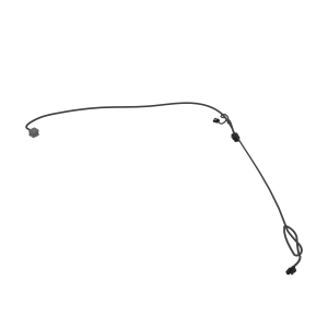 Radio Speaker WRG Harness