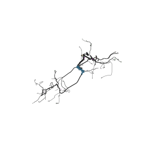 Chassis Wiring Harness