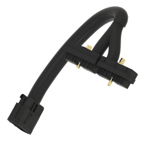 Image of AAX10197