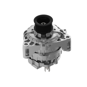 Image of RM100162