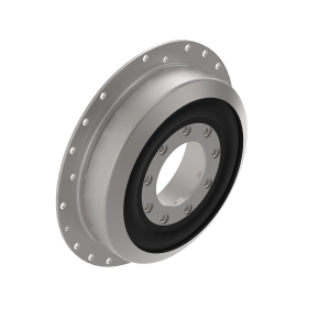 Torsional Damper