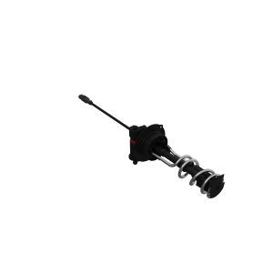 Image of RM100346