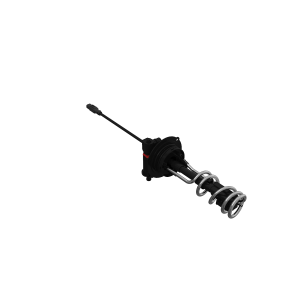 Image of RM100351