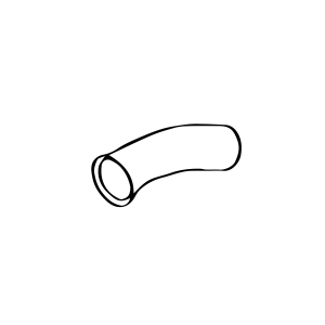 Muffler Extension
