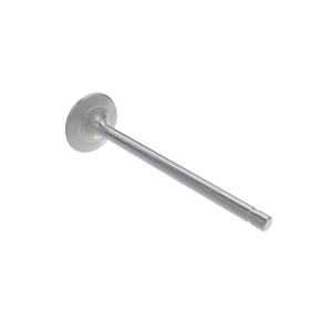 Exhaust Valve