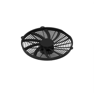 Fan