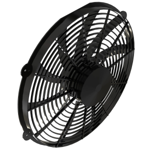 Fan