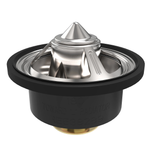 RE538289: Thermostat