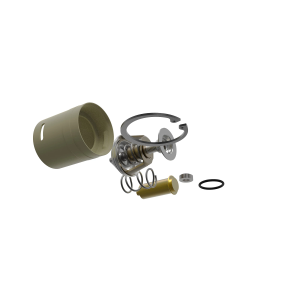 Thermostat Kit