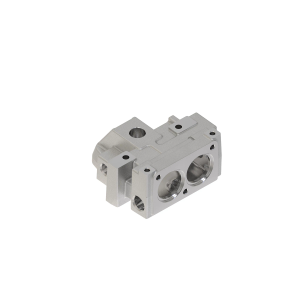 Manifold