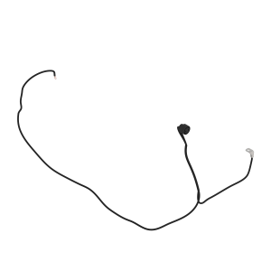 Power Cord