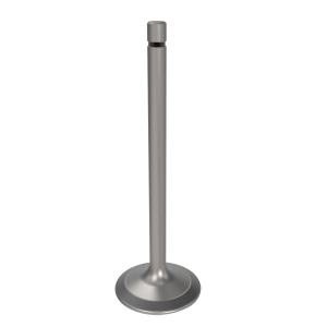 Intake Valve