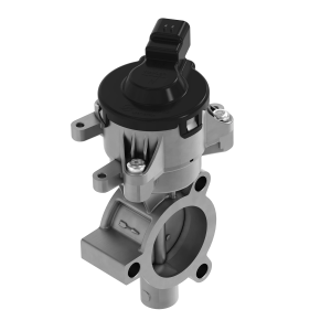 Image of MIU804352