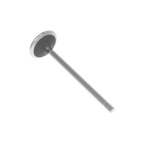 Intake Valve