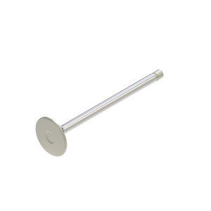 Exhaust Valve
