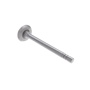 Exhaust Valve