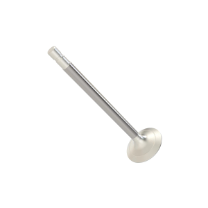 Exhaust Valve