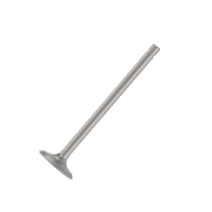 Exhaust Valve