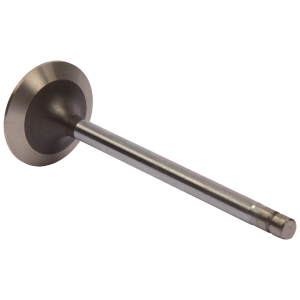 Exhaust Valve