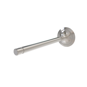 Intake Valve